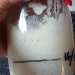 sourdough starter